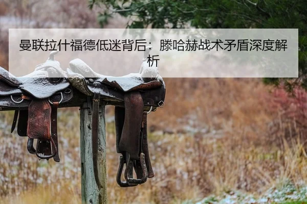 man-lian-la-shen-fu-de-di-mi-bei-hou-teng-ha-he-zhan-shu-mao-dun-shen-du-jie-xi-2-302.jpg