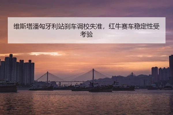 wei-si-ta-pan-xiong-ya-li-zhan-sha-che-diao-xiao-shi-zhun-hong-niu-sai-che-wen-ding-xing-shou-kao-yan-3-891.jpg