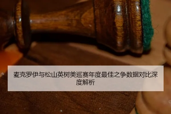 mai-ke-luo-yi-yu-song-shan-ying-shu-mei-xun-sai-nian-du-zui-jia-zhi-zheng-shu-ju-dui-bi-shen-du-jie-xi-2-516.jpg