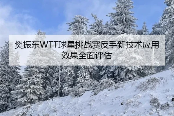 fan-zhen-dong-qiu-xing-tiao-zhan-sai-fan-shou-xin-ji-shu-ying-yong-xiao-guo-quan-mian-ping-gu-3-571.jpg