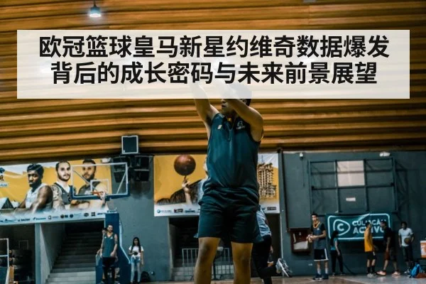 欧冠篮球皇马新星约维奇数据爆发背后的成长密码与未来前景展望