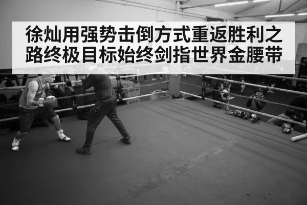 boxer training gym